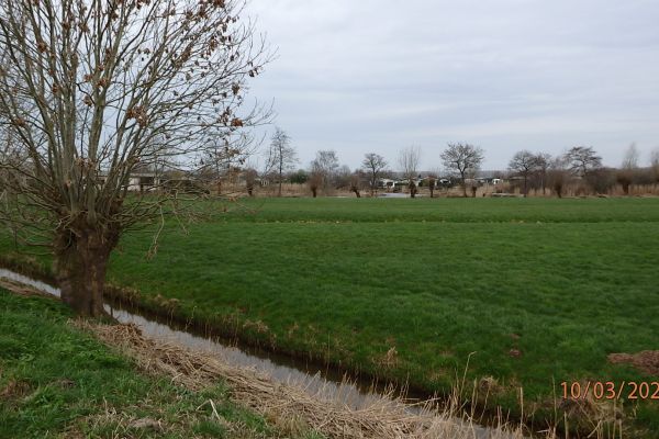afbeelding-8-08-de-polder-langs-de-kaai64585E58-62F7-2D8B-12D0-58B1548F61B0.jpg