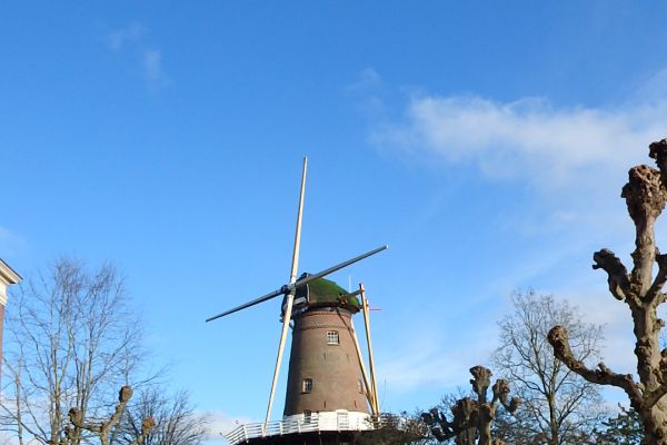 afbeelding-6-11-molen-de-hoopED8C3D80-5423-5D2C-2D92-ACFA178DB4C2.jpg